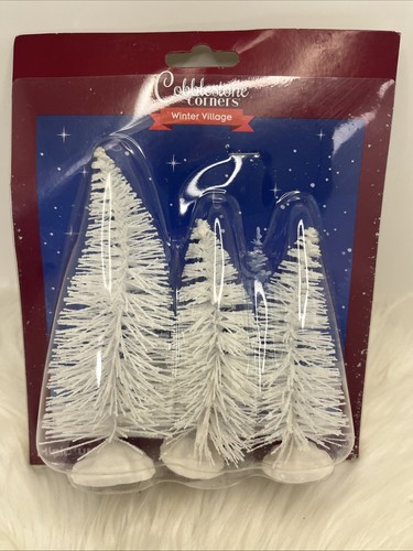 Bottlebrush trees white - bottlebrush,